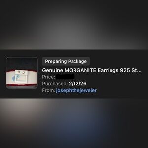 Morganite Stud Earings